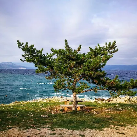 Nature Ravni