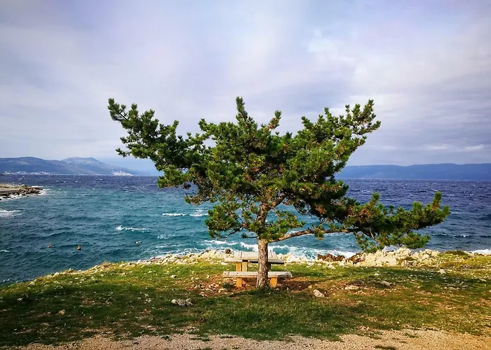 Nature Ravni
