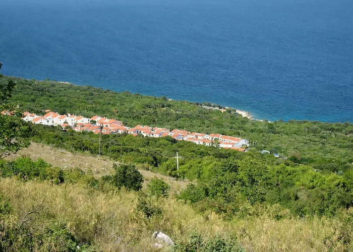 Nature Ravni